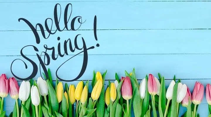 More Group Spring How to Make the Most of This Spring – Daniel Molgan Official